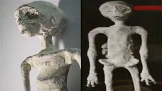 Las pruebas de ADN confirmaron que los restos de "alienígenas" exhibidos en México son de una "especie desconocida"