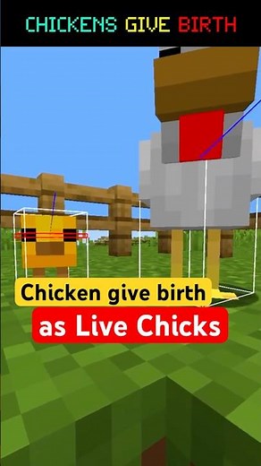 🐔That CHICKENS Give Birth to LIVE CHICKS!🐤