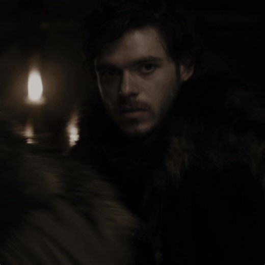 The Legacy of Robb Stark: The King in the North