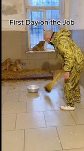 First Day and Last Day 👀..#humor #comedy | Madara Dusal