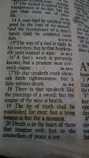 Proverbs 12:18-20