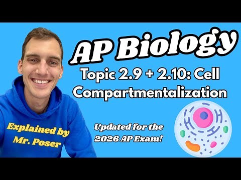 2.9/2.10 - Cell Compartmentalization/Origins of Cell Compartmentalization - AP Biology *Updated 2025