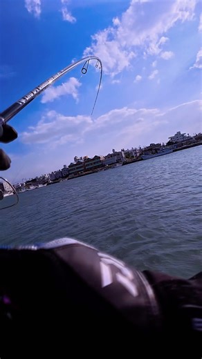 ~ Okinawa Fishing ~ Tachiuo (Cutlassfish / タチウオ) #okinawa #japan #釣り #fishing