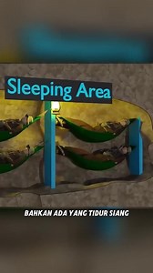 862K views · 10K reactions | Perang Vietnam #monetisasi #fbpro #trending #filmviral #bestfilm #filmterbaik #viral #reels #drakor #moviebox #india #hindi #filmindia #lucu #videolucu #fypfb #fyp #reel #reviewfilm #filmindo #filmhorror #videounik #semuaorang #sorotan #film #hiburan #videotrik #fypシ゚viralシ2024fyp #trending #fakta #pengetahuan #faktaunik #faktamenarik | Movie Box | Facebook