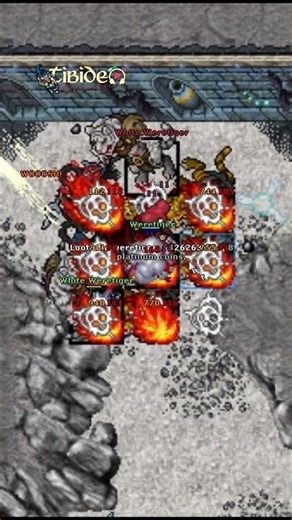 TIBIA / ECHOES RAIDS "TEST SERVER"