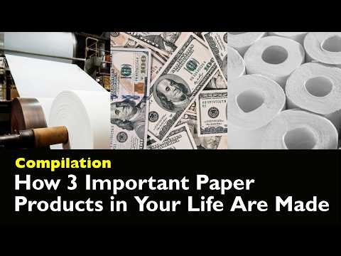 How Paper, Paper Money, and Tissue Paper Are Made | Compilation