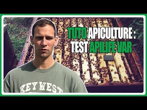 Tuto apiculture : Test apilife var