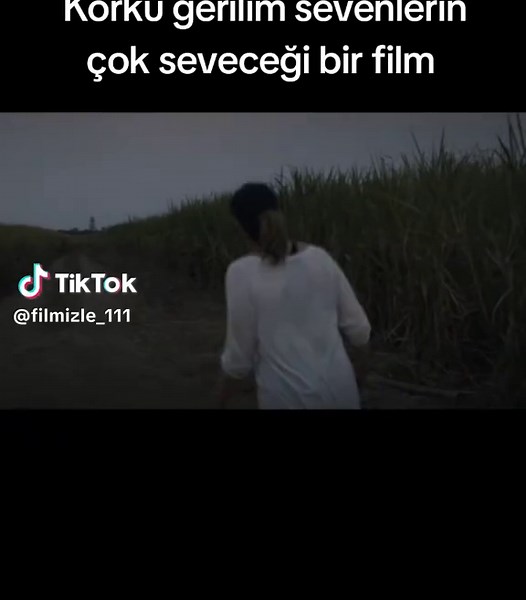 Korku Gerilim Sevenler İçin Harika Bir Film