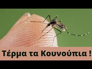 Πως να Προστατευτώ απο τα Κουνούπια με Φυσικό Τρόπο - Εύκολες Σπιτικές Συνταγές