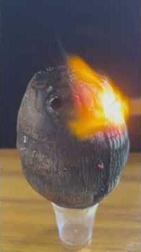 Es ke sath bi experiment 😱 coconut ke sath experiment#viral #satisfying #experiment #love#blowtorch