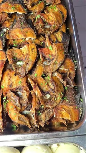 🎣 Fish lovers, this one’s for you! 🍴✨🇿🇲 Come savour the flavours right here in Zambia at @fratellisdiner. 📍 Find their location on Google Maps Just open Google Maps and search for: Fratellis Diner Zambia #FratellisDiner #Lusaka #Zambia #tiktokafrica🇨🇮🇬🇭🇳🇬🇹🇬🇧🇫🇧🇼🇹🇿🇱🇸🇿🇲🇬🇭🇦🇴🇰🇪🇿🇼🇨🇮