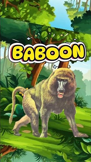 Baboon Facts | Smart & Social Monkey .