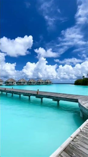 Paradise Chill Out - Bora Bora - Short #tropicalchill #beautifuldestinations