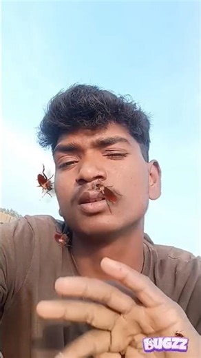 cockroach 🪳 #cockroach #funny #comedy #youtubeshorts #trending #shorts #shortsfeed