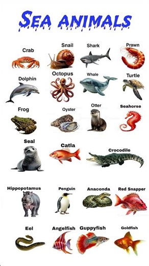 Sea animals | types of fish 🐠 Fish name