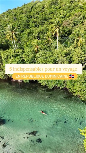 Adèle, Jocelyn, Milan & Isao 👣 on Instagram: "5 indispensables pour un voyage réussi en République Dominicaine 🇩🇴🌴 1-Le passeport évidemment ! Attention, il doit être valable au moins 6 mois après la date de fin de séjour. 2-Le e-ticket, un formulaire à remplir en ligne avant l'enregistrement à l'aéroport. C'est gratuit mais très important, on a failli louper l'avion car nous ne l'avions pas rempli !!! 3-La e-sim @holafly_fr pour être connecté dès l'atterrissage, facile à installer et dispon