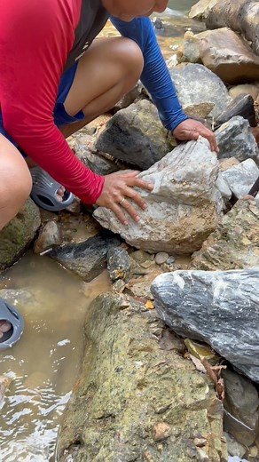 12K views · 43 reactions | ASMR gold - extracting gold stuck to chalcedony rock using a chisel #goldrush #gold | Nepri Andries Tambang Emas | Facebook