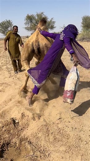 بين الخطر والرحمة فتاة تُحاول إنقاذ جملٍ غاضب تحت الشمس