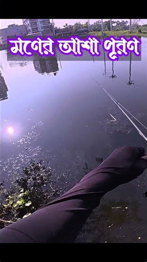 এটাই ছিল শেষ!!! Topwater Fishing, Frog Lure Fishing BD, #fishingmethods #fishingtechniques