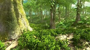 DEVONIAN FOREST | These trees are the Progymnosperm Archaeopteris, and the forest floor includes Racophyton. Major soils did not develop until the first trees evolved on land. *Animation by Joseph Rogers and Leo Ascarrunz. Special thanks to Ian Miller and James Hagedorn (DMNS) for their input. *Interactive Geology Project, University of Colorado-Boulder. igp.colorado.edu | Prehistoric Life in the Phanerozoic Eon