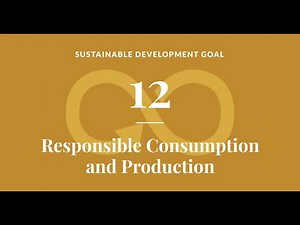 Responsible Consumption - The Path to Sustainability (4 Minutes)