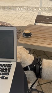 PART 2: How to Register Your Business in Luxembourg! 💻🇱🇺 In this episode, Julia walks you through the next steps of registering a business on MyGuichet, Luxembourg's online portal for government-related procedures. Whether you’re setting up your own company or just curious about the process, this video has you covered! Tune in for helpful tips and firsthand insights from Julia as she navigates business life in Luxembourg! #luxembourg #expatlife #registeringabusiness #businesslife #movingtolux