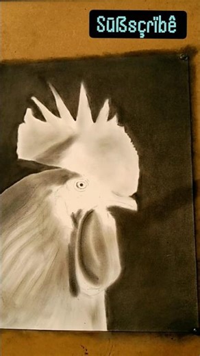 Rooster portrait drawing tutorial step by step #pencilportrsit #quickdrawing #drawingtools #oldwork