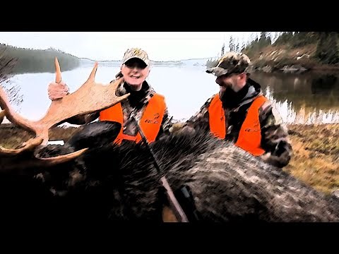 Chasse à l'orignal Aventure Chasse & Pêche