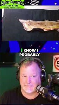 Horse Coffin Joint Explained: Anatomy & Function