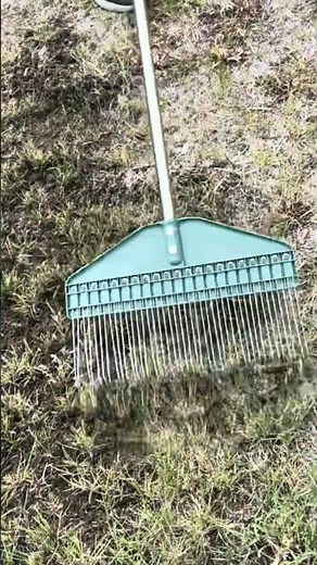 Best Thatch Rake for Your Lawn