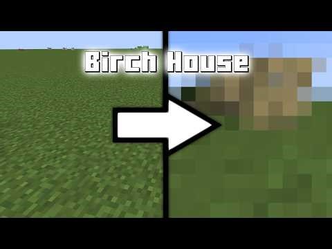 Builder with Birch House in Minecraft Timelapse