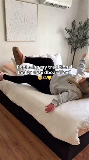 New Cardboard Bed for 2026