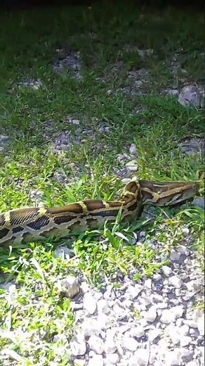 "We're on the board"