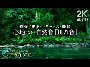 ASMR Nature Sounds | River Sounds & Bird Song | Nature Sounds for Sleep, Relax, study