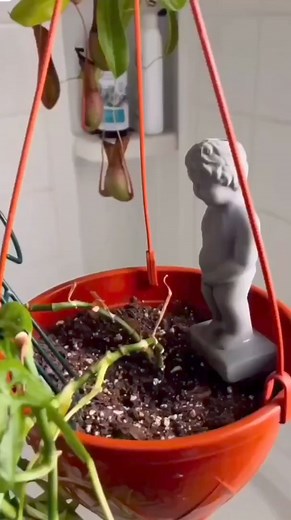 289K views · 4.8K reactions | Watering your plants? Urine for a surprise!  GET IT HERE! https://geni.us/peemyplants See more cool stuff at suatmm.com! #shutupandtakemymoney #takemymoney #suatmm #gaggifts #coolgifts #geekgifts #gag #cool #geek #giftideas #meme #memes #memepage #memedaily #dank #dankmemes | ShutUpAndTakeMyMoney | Facebook