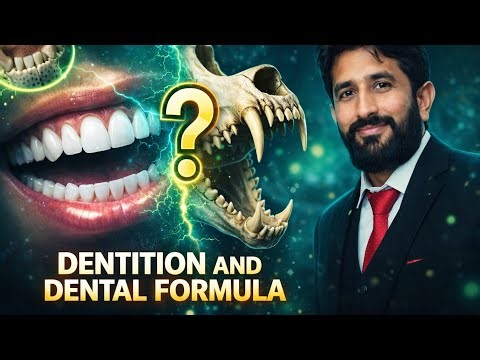 Dentition & Dental Formula | Mammalian Teeth #MDCAT #NEET #biology
