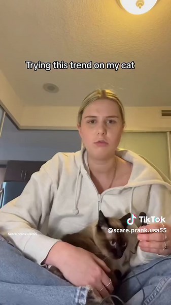 Cat and Screamer Trend: Scare Your Cat with Funny Pranks