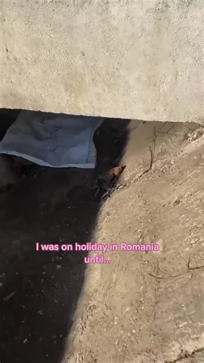 hopesparkfoundation (@hopesparkfoundation)’s videos with original sound - hopesparkfoundation