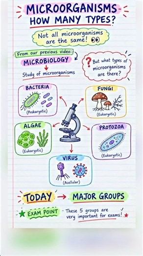 Major Groups of Microorganisms 🦠 | Bacteria, Fungi, Algae, Protozoa & Viruses | Microbiology #shorts