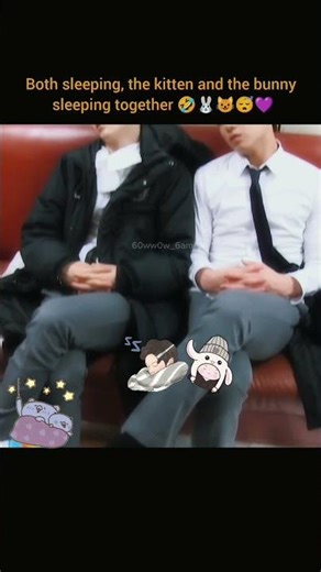 Both sleeping, the kitten and the bunny sleeping together 😂#shortvideo #shots #youtubeshorts #bts