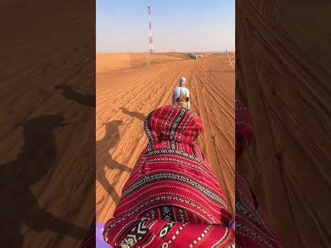 Riding a camel through the Dubai desert! #shorts