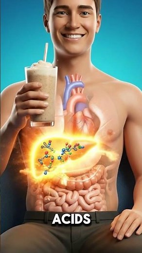 Where Does Extra Protein Go If You Don’t Work Out?