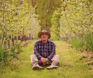 About Our Fruit Tree Nursery - Mehrabyan Nursery