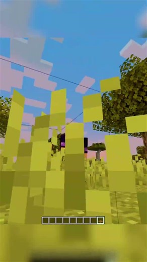 Minecraft everything About trapdoor #minecraft #minecraftmeme #minecraftbedrock #minecraftshorts