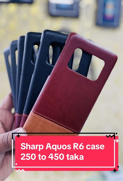 Sharp Aquos R6 Backcover and Case Review