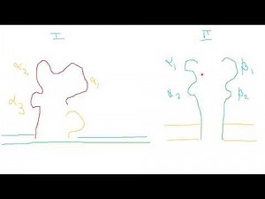 Immunology- Cellular Components Part 1