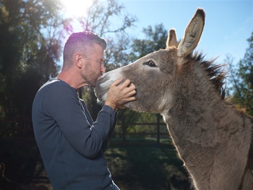 Mendocino County donkey rescue is the star of a new reality TV series