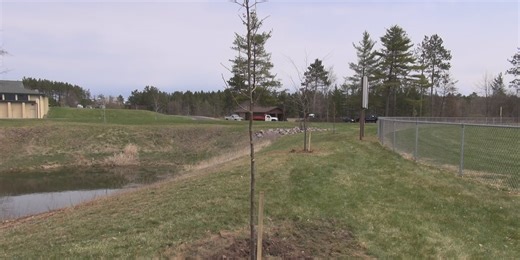 Gov. Evers, DNR increase state pledge to plant 100 million trees by end of 2030