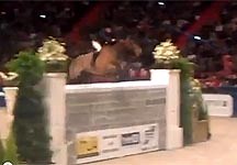 Did Robert Whitaker set new world bareback puissance record? - Horse & Hound
