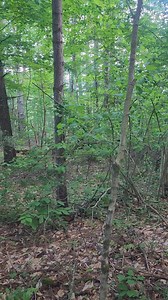 Funny looking target on the range | Beastmode Bowhunting